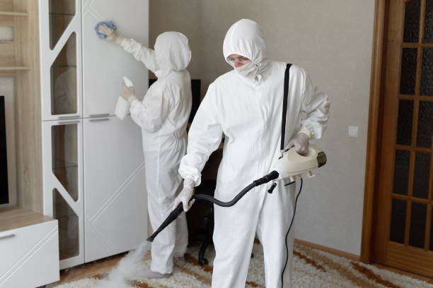 Best Post-Flood Mold Remediation in Lake Fenton, MI